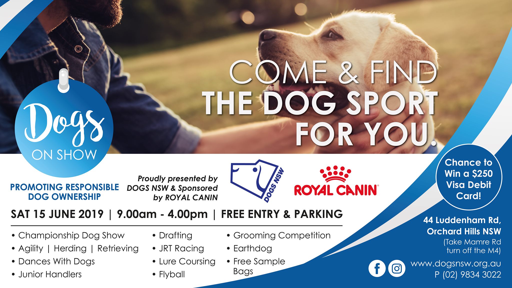 Dogs on Show