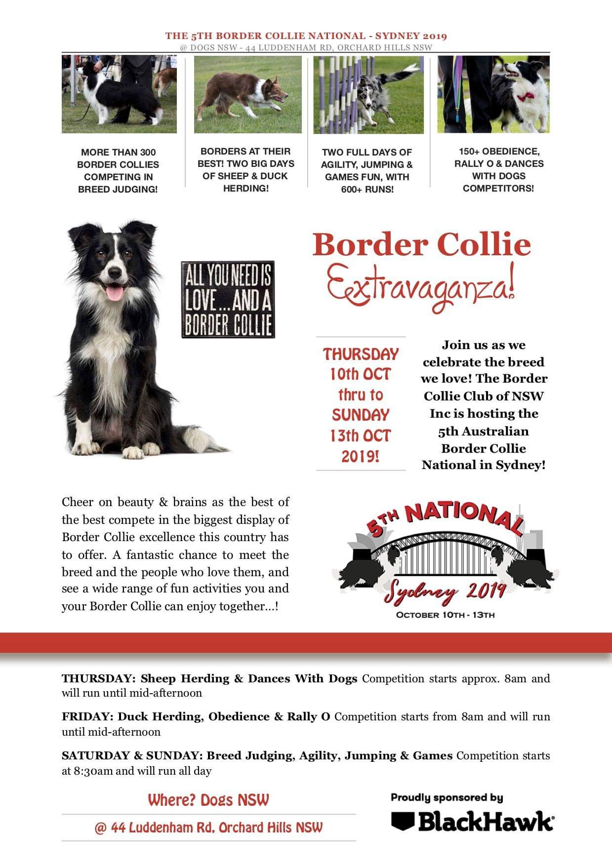 Border Collie